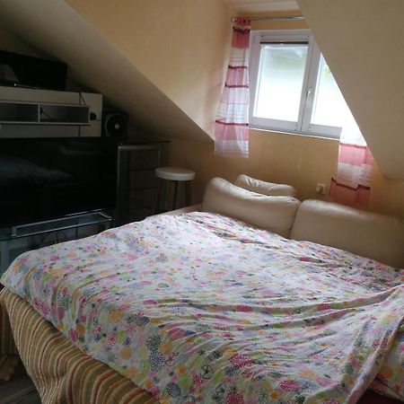 Wohlfuehloase - Zimmer, Appartment - Im Herzen Starnbergs Kamer foto