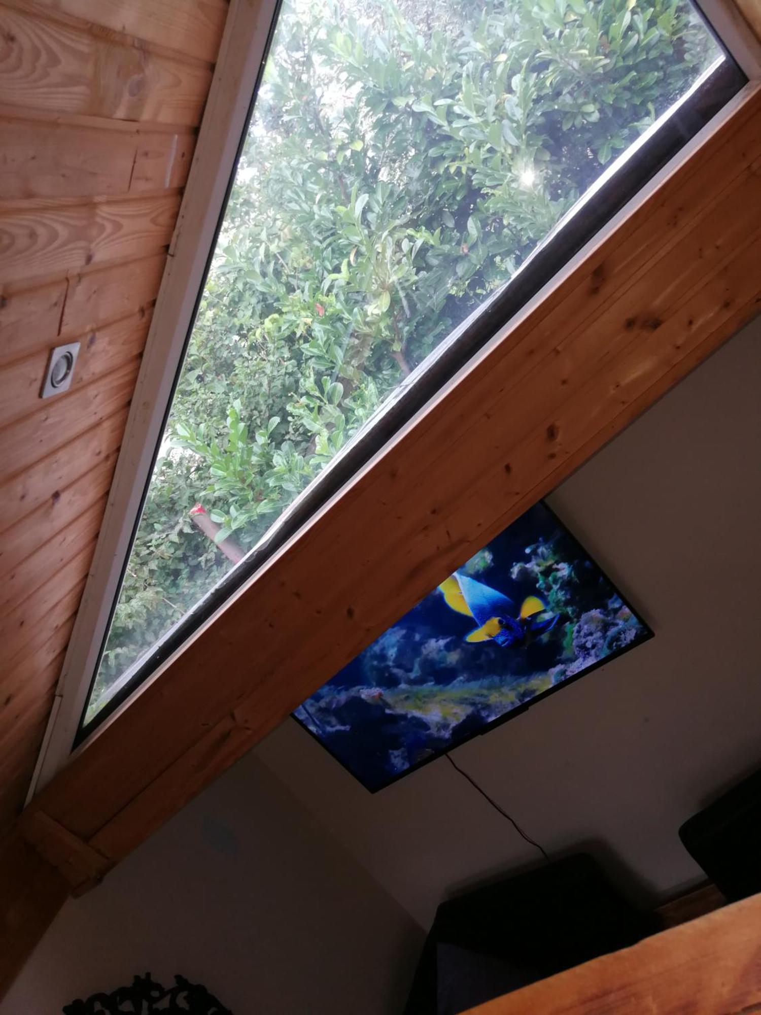 Wohlfuehloase - Zimmer, Appartment - Im Herzen Starnbergs Kamer foto